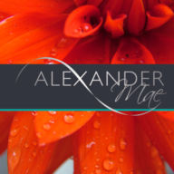 Alexander Mae (Bristol) Ltd logo