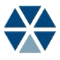 ASI Government logo