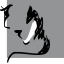 Arizona Eye Institute & Cosmetic Laser Center logo