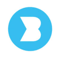 Bayforce logo