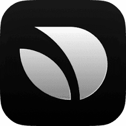 Birdie logo