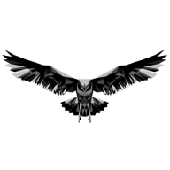 Black Eagle Defense logo