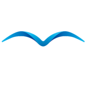 Bluebird Consulting GmbH logo