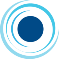 Bluesight logo
