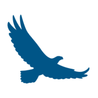 Blue Sky Innovators logo