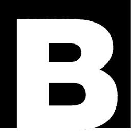 The Boldt Company logo