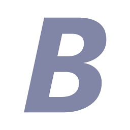 Bonn-Netz GmbH logo