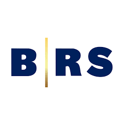 B. Riley Securities  logo