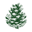 Bristleconecompanies logo