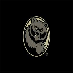 Bruin logo