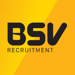 BSV Recruitment Ltd logo