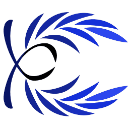 Castello Systems, Inc. logo