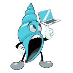 Conch Technologies logo