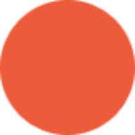 Consensus Support Services Limited logo