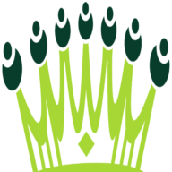 Crown Solutions Inc logo