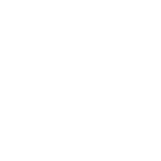 DensityAI logo