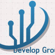 Develop Group logo