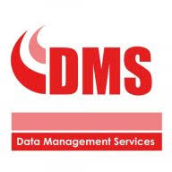 DMS Computer Recruitment logo