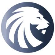 D&G Solutions logo