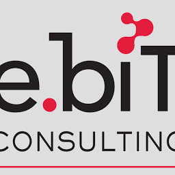 e.biT Consulting logo