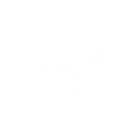 Full Visibility LLC logo