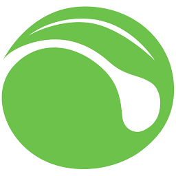 Ion logo
