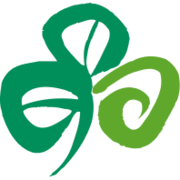Liffey Moher and Blarney Inc. logo