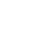 Island Dermatology logo