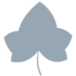 Ivy Rock Partners logo