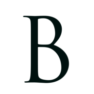 Kanzlei BRAUN logo