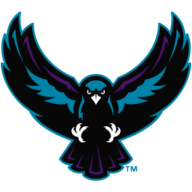 Rochester Knighthawks logo