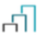 Levco Management LLC logo