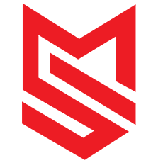 Maddisoft logo