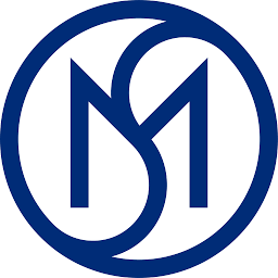 M & S Consulting LLC logo