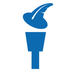 Merlin Solutions LLC logo