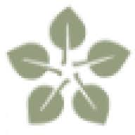 MorningStar Senior Management LLC logo