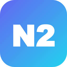 N2 Services Inc logo