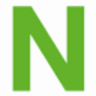 NETHINKS logo