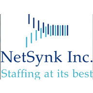 Netsynk logo