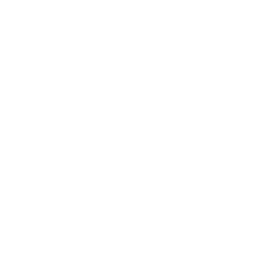 Neuromorphic Labs logo