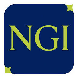Nexo Global Inc logo