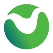 Numeral logo