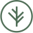 Branchinsurance logo
