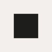 PAC NYC logo