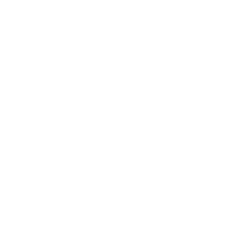 Paragon Marketing logo
