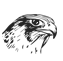 Peregrine International Ltd logo