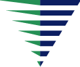 Precision Vehicle Holdings logo