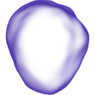 Prolaio logo