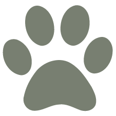 Puget Sound Veterinary Specialty & Emergency logo