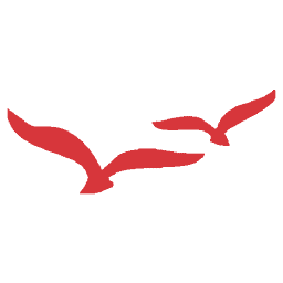 Rapsys Technologies logo